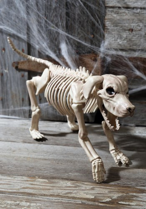 This Beagle Bonez decoration shows what happens when Fido becomes a cursed creature of the damned! #%20