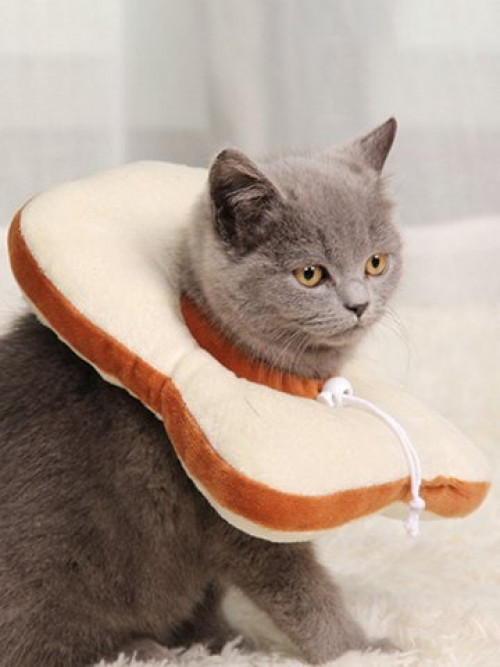 Food Shape Adjustable Cat Collar #food