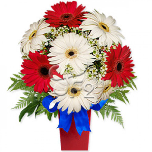 Send this cheerful arrangement of red and white gerbera daisies in a vase to convey your warm wishes on any occasion. A delightful surprise that will leave a lasting impression. Substitution of vase may occur. #best