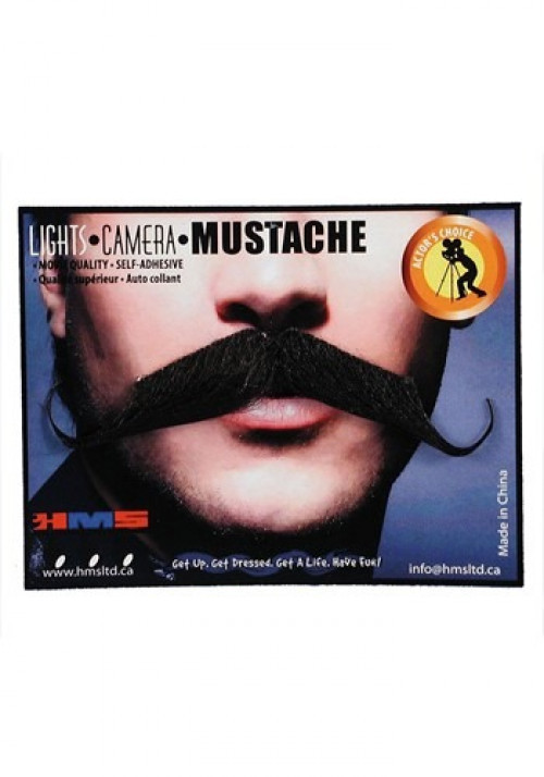 Complete your retro costume with the Handlebar Mustache! I heard people with handlebar mustaches are usually the life of the party! #bar