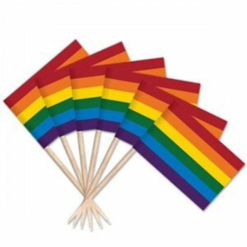 100 count - Rainbow Gay Pride Flag Toothpicks - LGBT Pride Home Decor and Party Supplies #home 