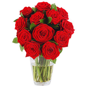 This is a simple traditional rose bouquet to give to someone special. It contains a dozen red roses and comes gift wrapped. #gift