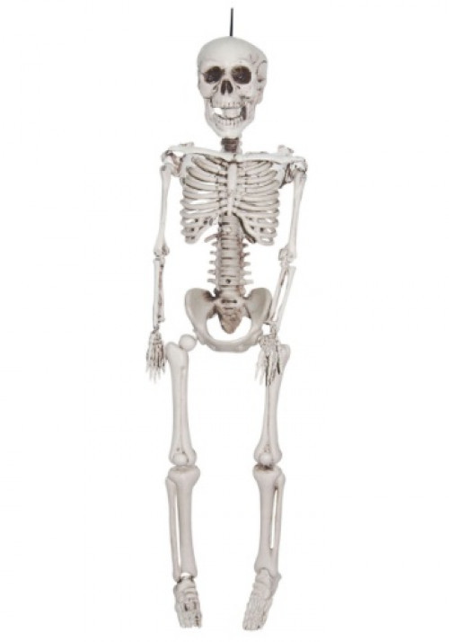 He's got a bone to pick with you! This 20 Inch Plastic Realistic Skeleton can be used as an indoor or outdoor decoration. #%20
