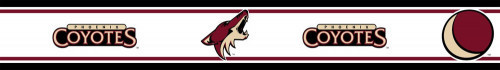 One NHL Phoenix Coyotes prepasted wall border roll. #decor