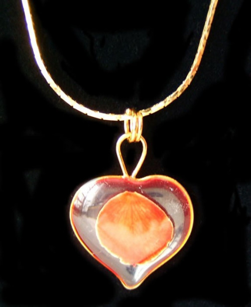 The miniature red rose petal has been preserved in a clear lacquer finish, trimmed in gold and placed in a heart shell. Our rose petal necklace is a great jewelry gift. Check out our gold rose jewelry line for more unique gift ideas. #gift