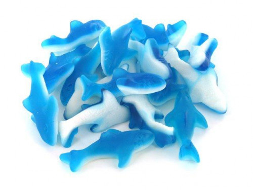 Try sinking your teeth into these ferocious aqua blue sharks! These gummies pack two flavors, blue raspberry and sweet marshmallow into one intimidating treat! Each shark is 3.5 inches in long. Bulk candy counts are approximated. Orders placed by midnight #candy