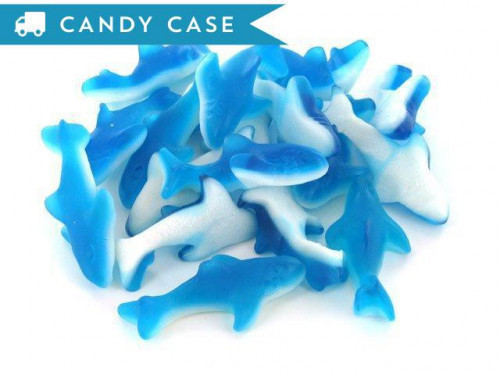 Try sinking your teeth into these ferocious aqua blue sharks! These gummies pack two flavors, blue raspberry and sweet marshmallow into one intimidating treat! Each shark is 3.5 inches in long. A 30 lb bulk case has roughly 480 sharks. Orders placed by mi #candy